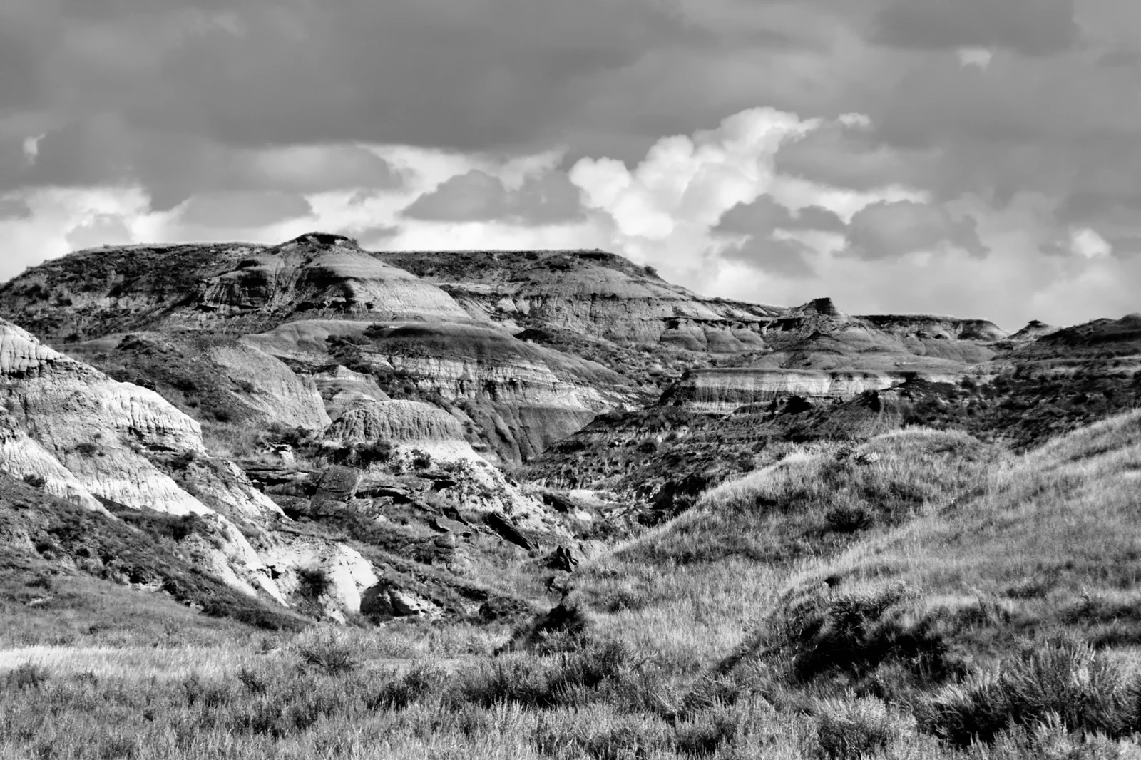Badlands formations in Dinosaur Provincial Park