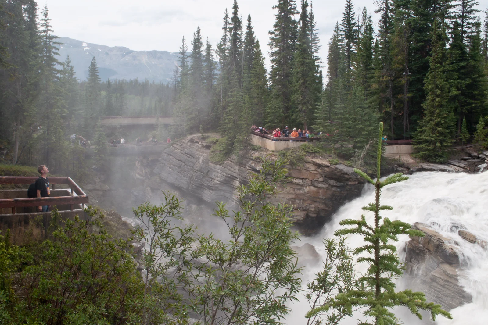 Athabasca Falls in Jasper National Park