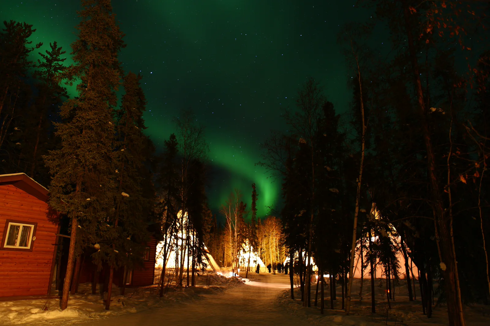 Aurora above the subarctic landscape near Yellowknife