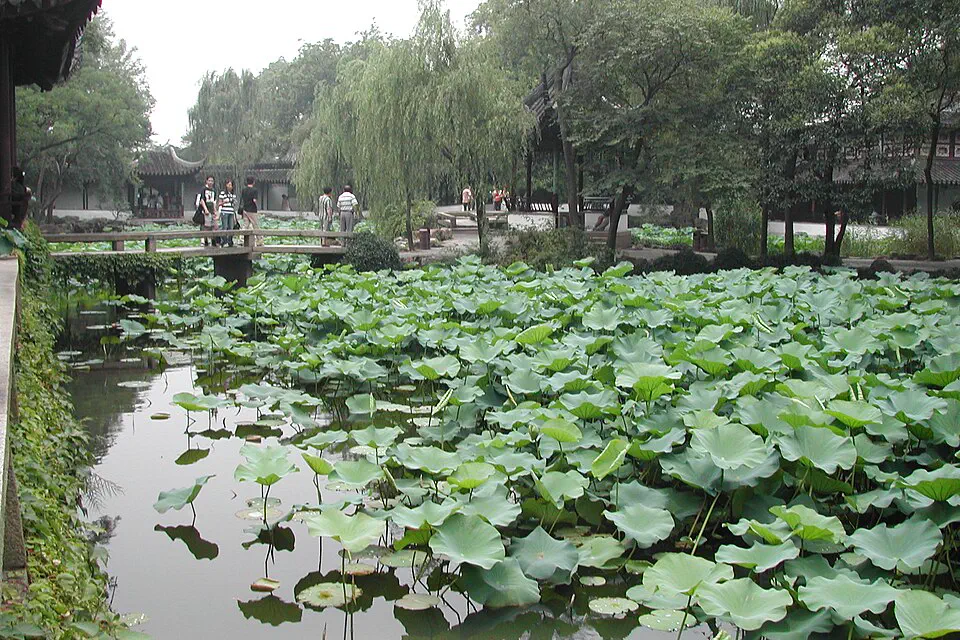 Lotus pond and traditional pavilions in a classical Suzhou garden