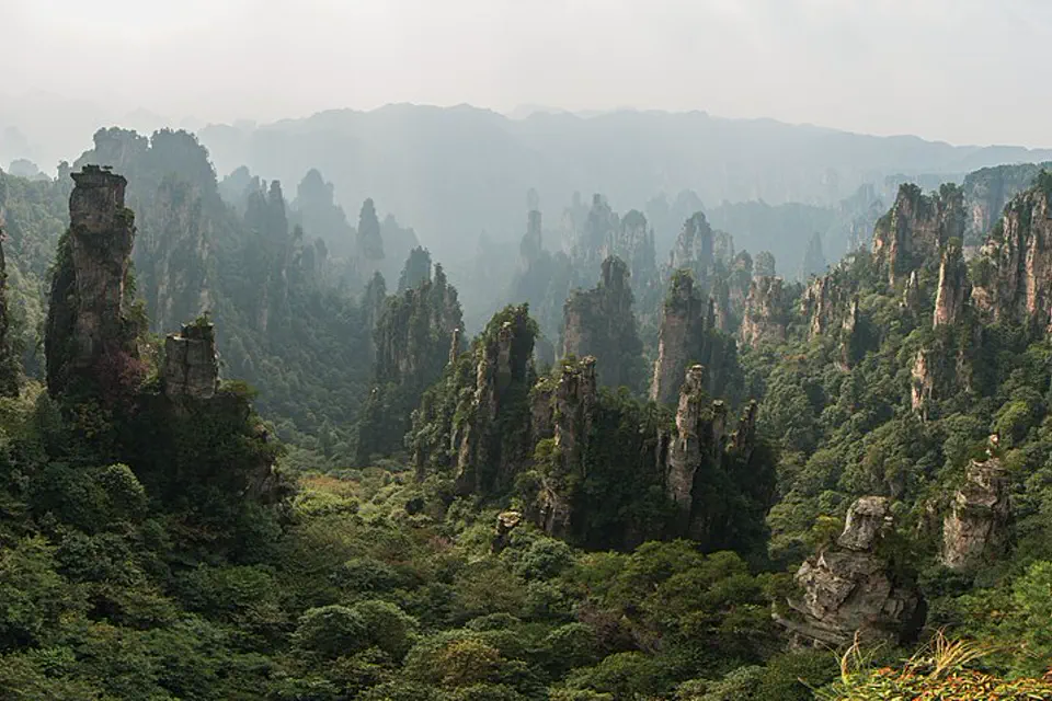 Forested sandstone pillars receding into mist in Zhangjiajie