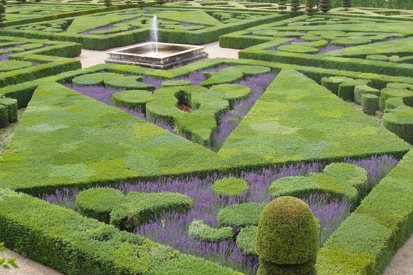 Geometric gardens below Château de Villandry