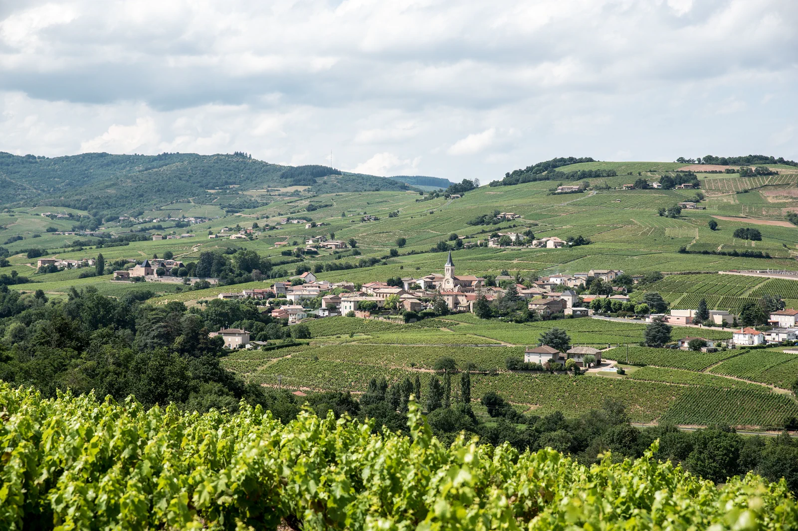 Vineyards and stone villages in the Beaujolais countryside