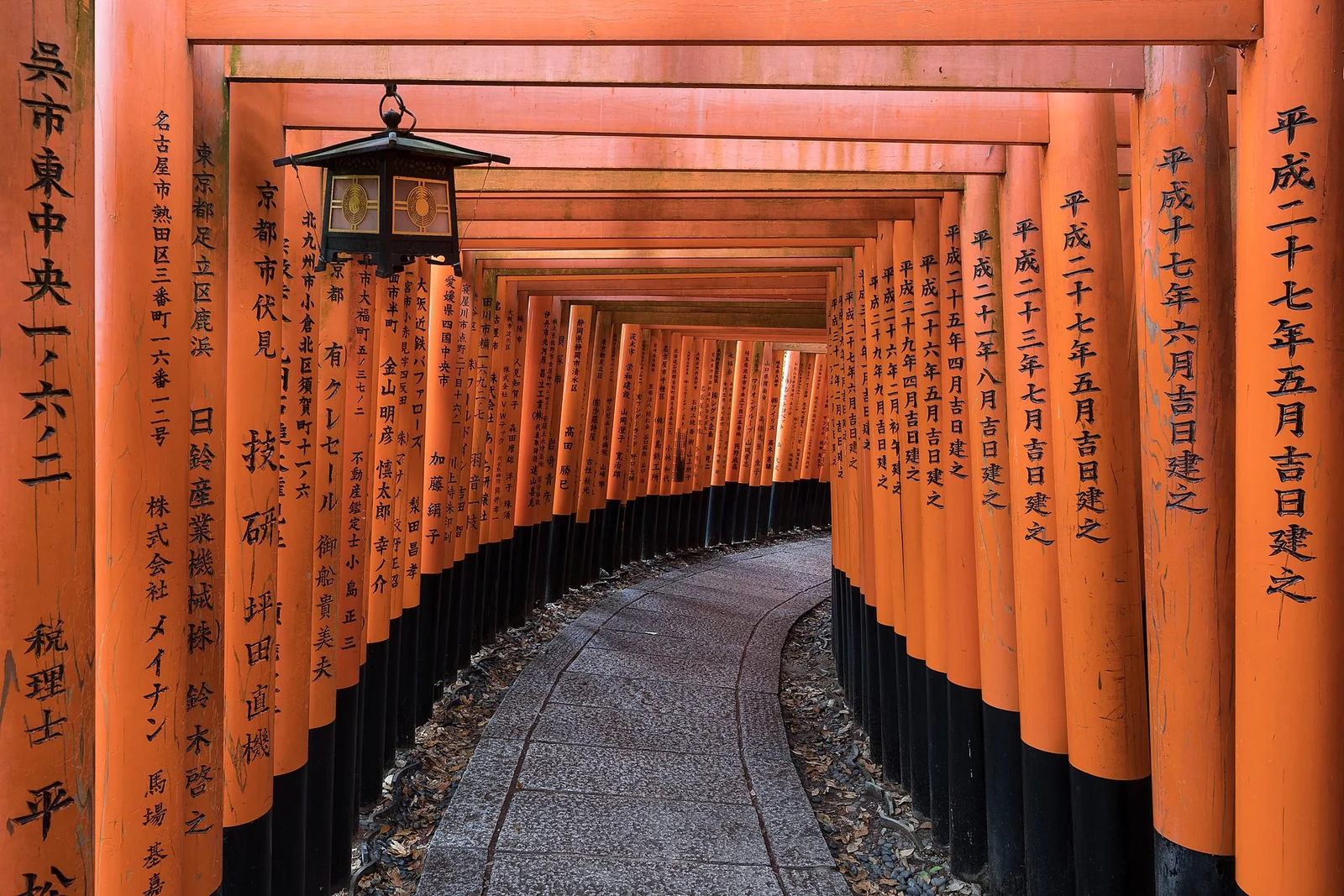 A lantern among the torii gates of Fushimi Inari shrine