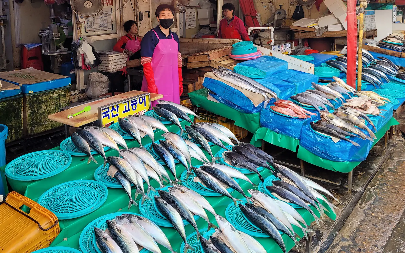 Fresh seafood displayed by vendors inside Jagalchi Market