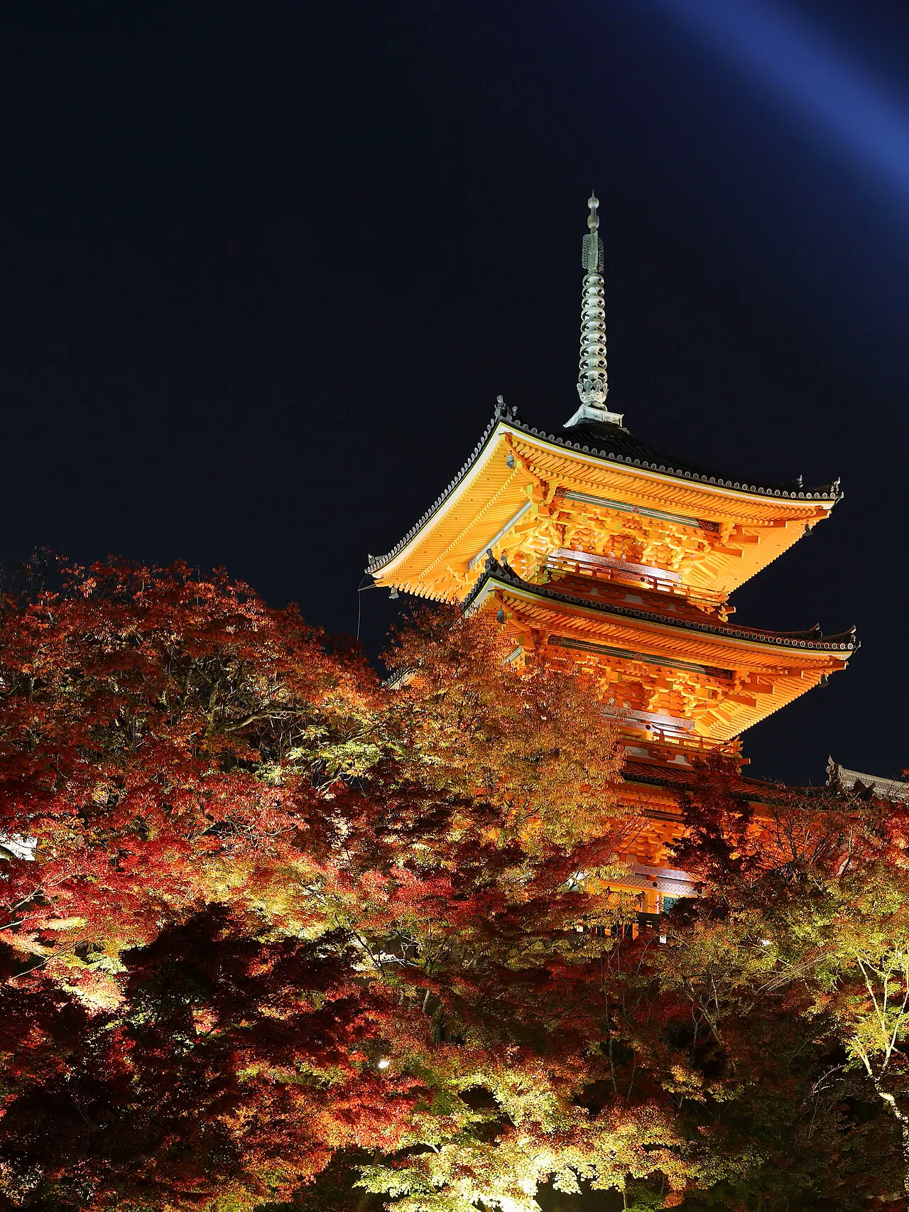 Kiyomizudera temple illuminated above autumn trees
