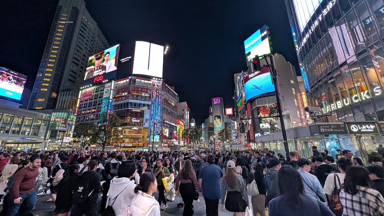 Crowds crossing Shibuya at night in Tokyo