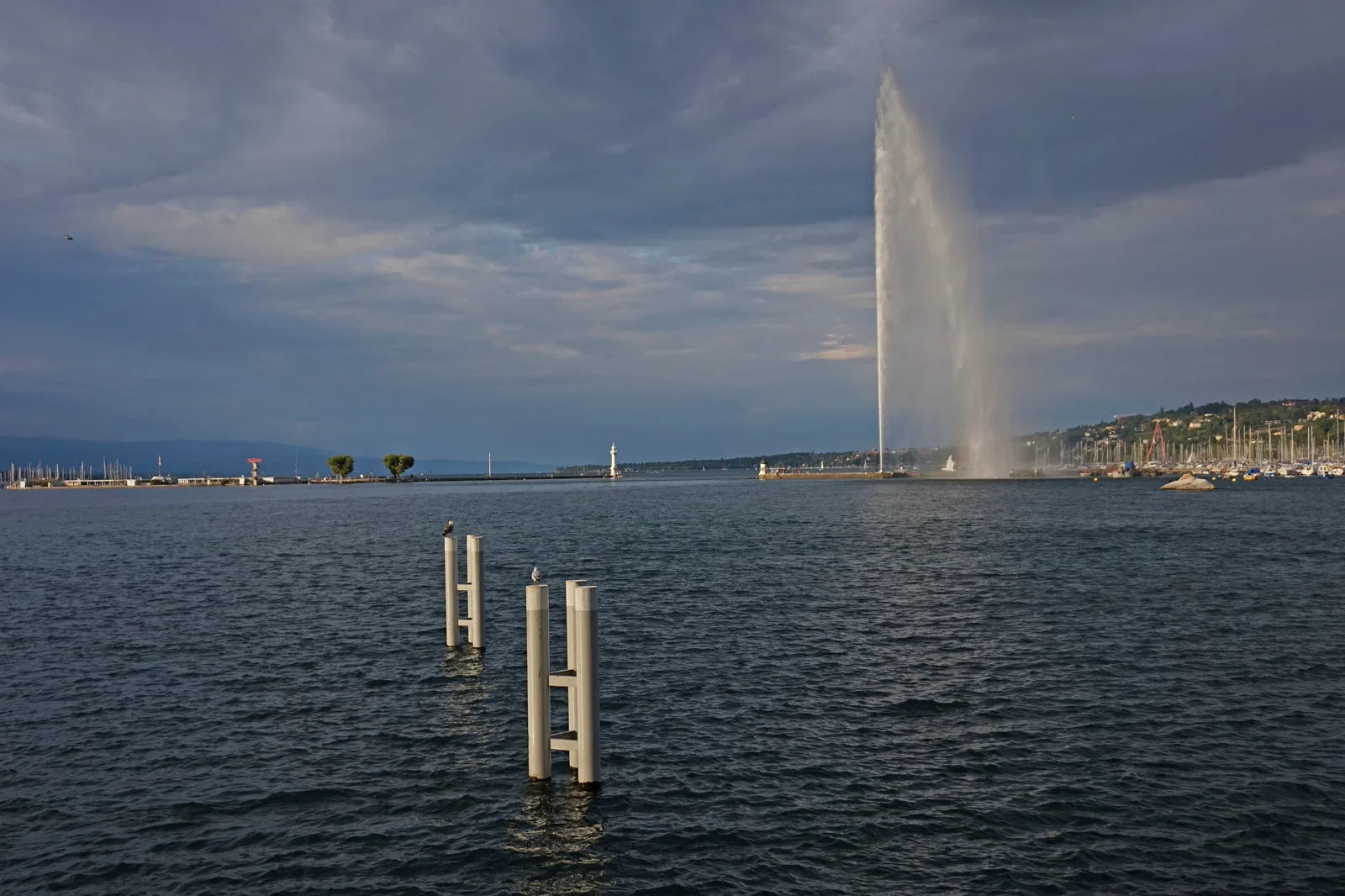 Geneva lakefront and old town skyline