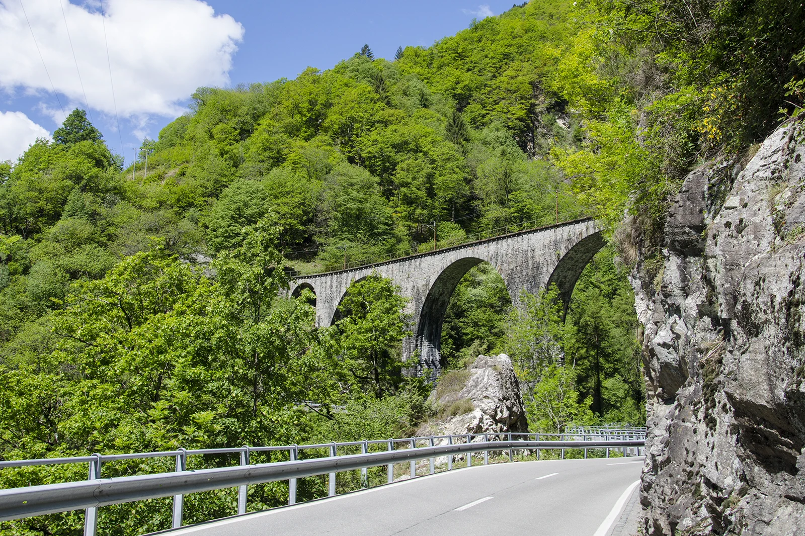 Centovalli railway and green Ticino valley landscape