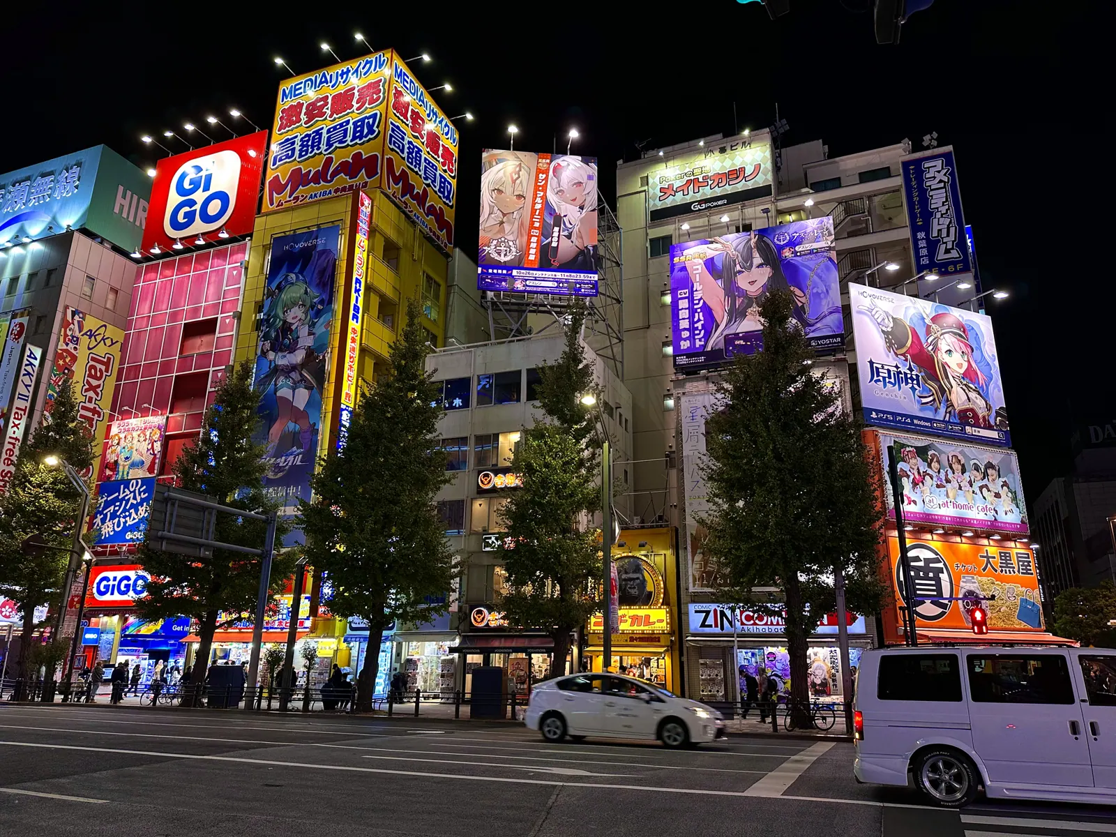 Illuminated electronics and anime storefronts in Akihabara