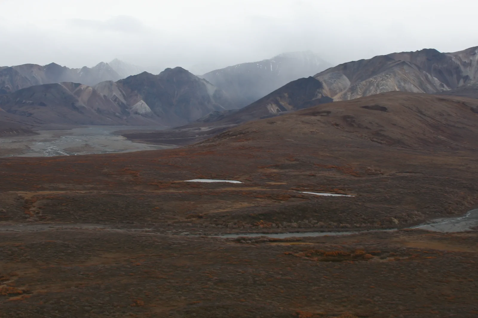 Denali National Park