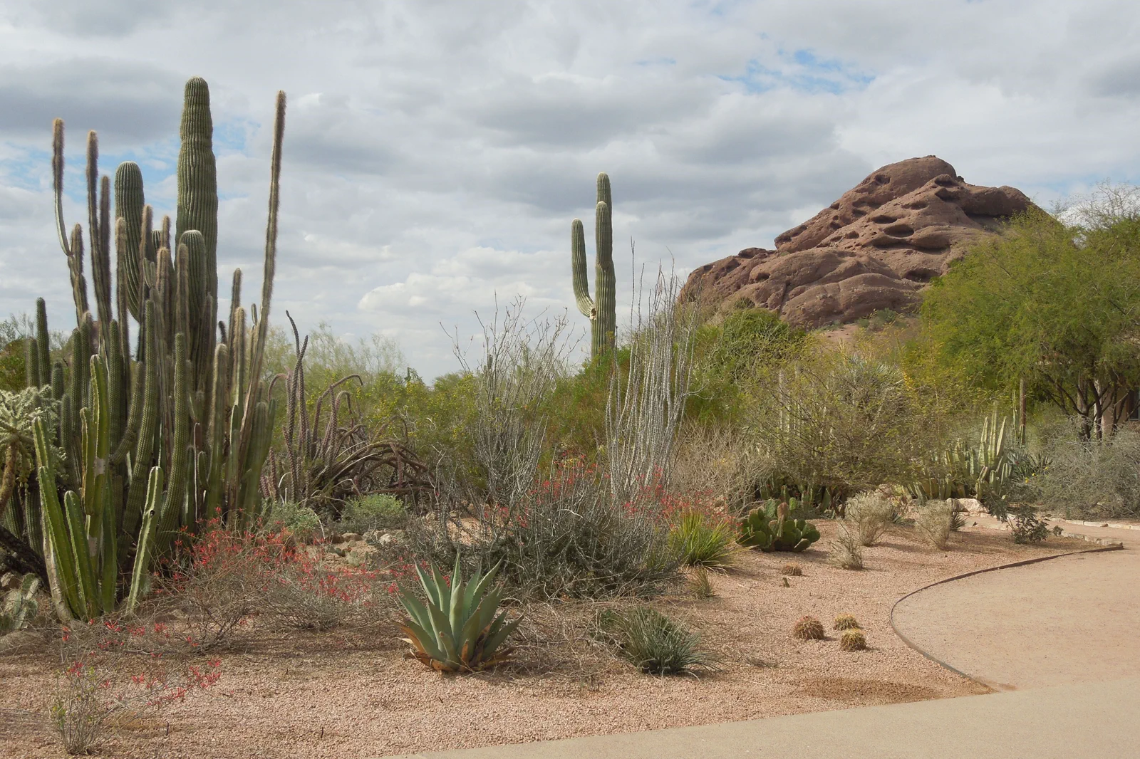 Phoenix & Scottsdale