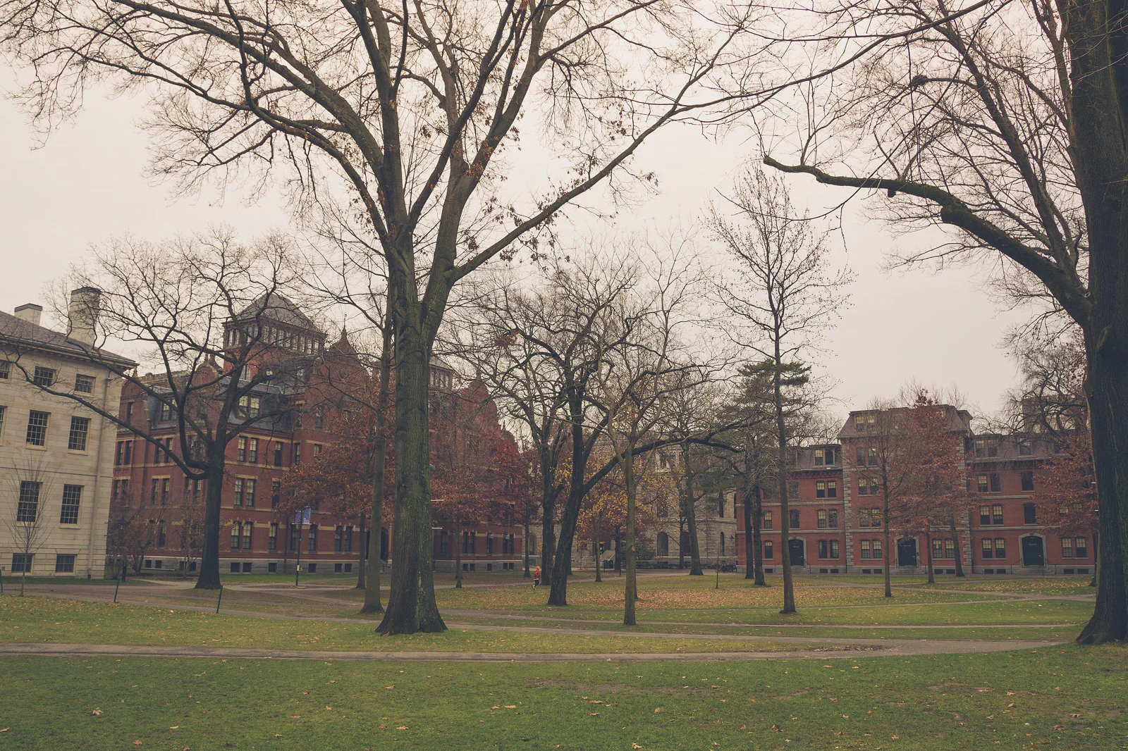 Cambridge & Harvard Square