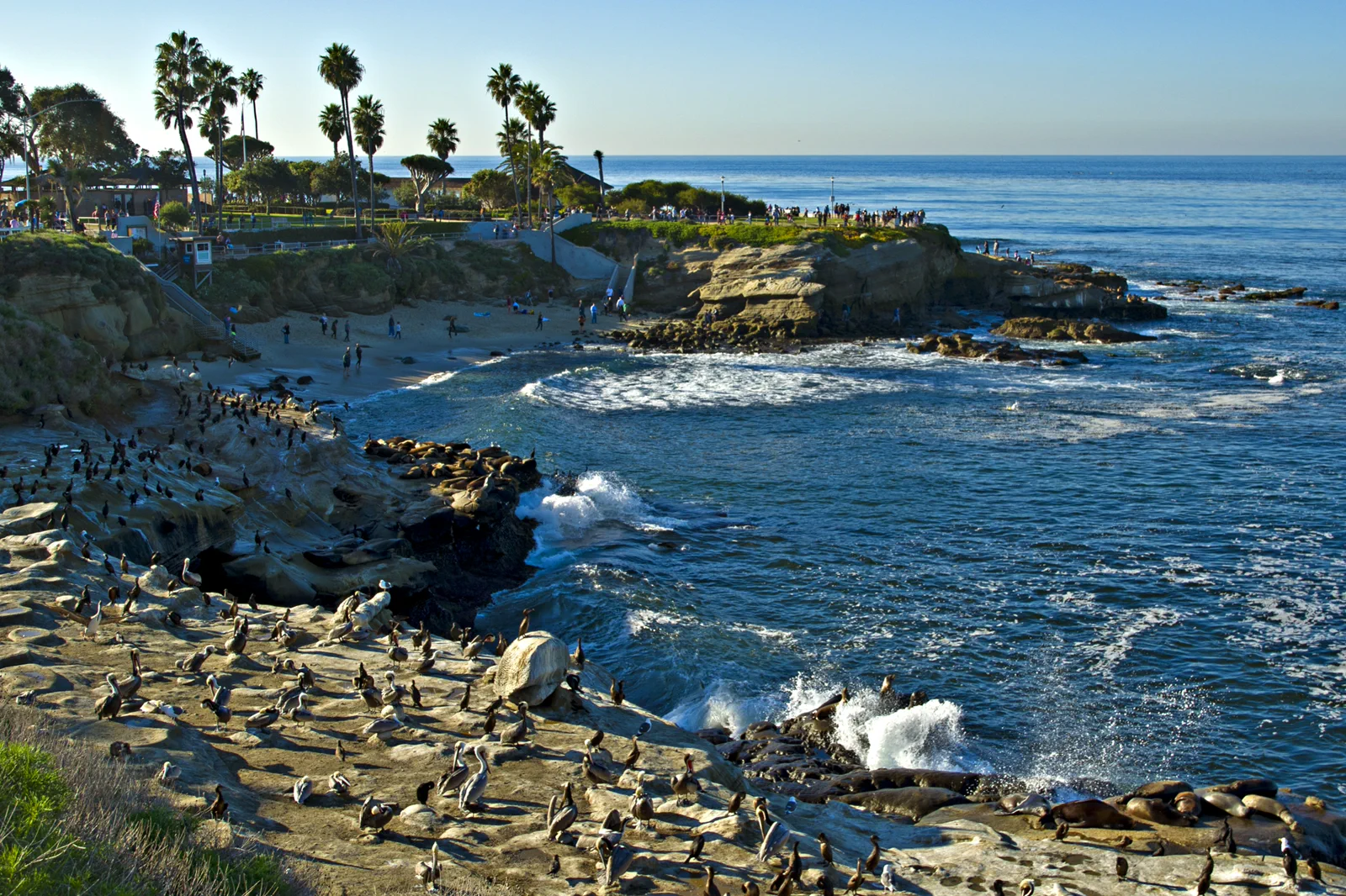 La Jolla Coast