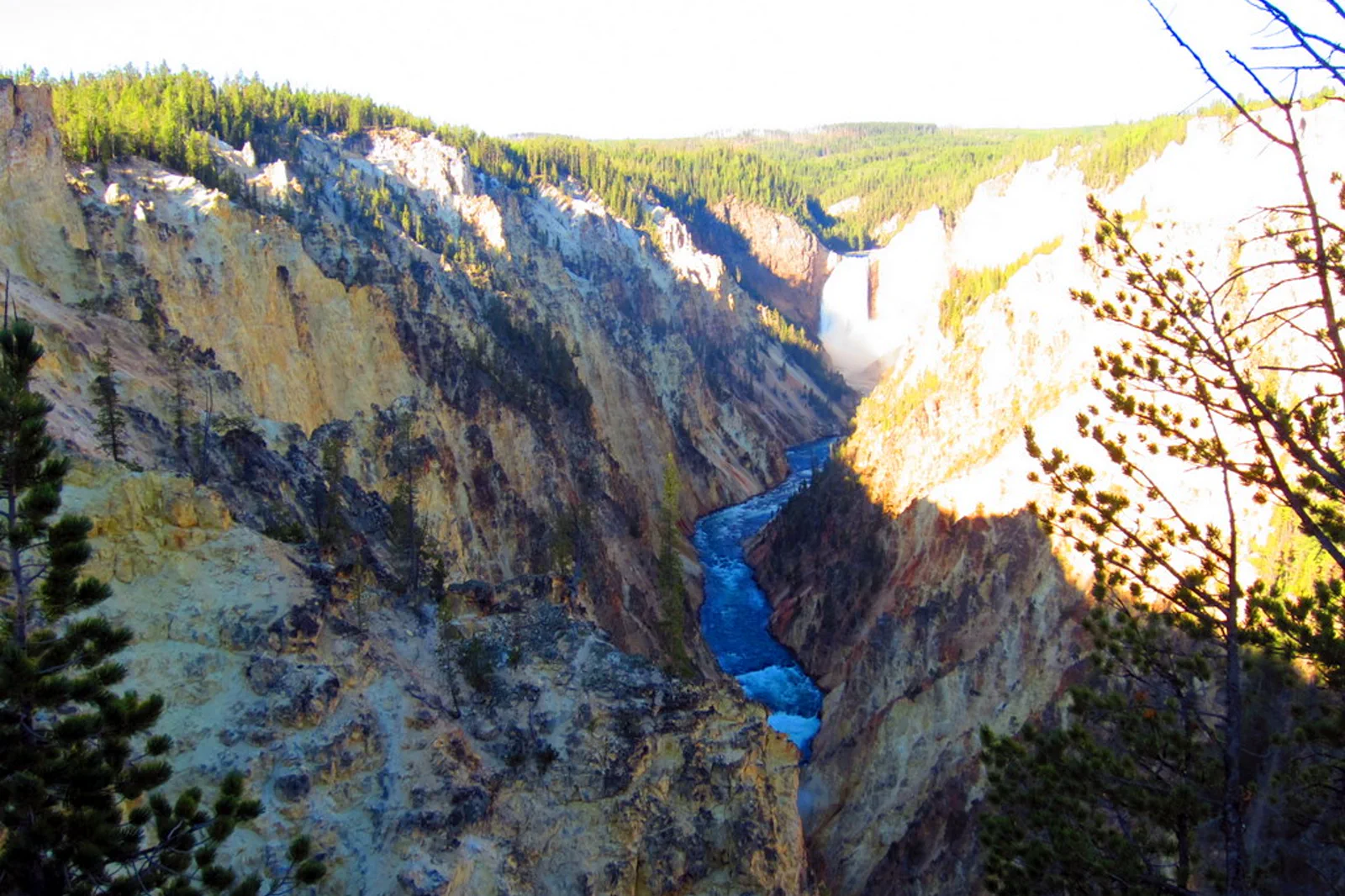 Yellowstone Canyon & Wildlife Valleys