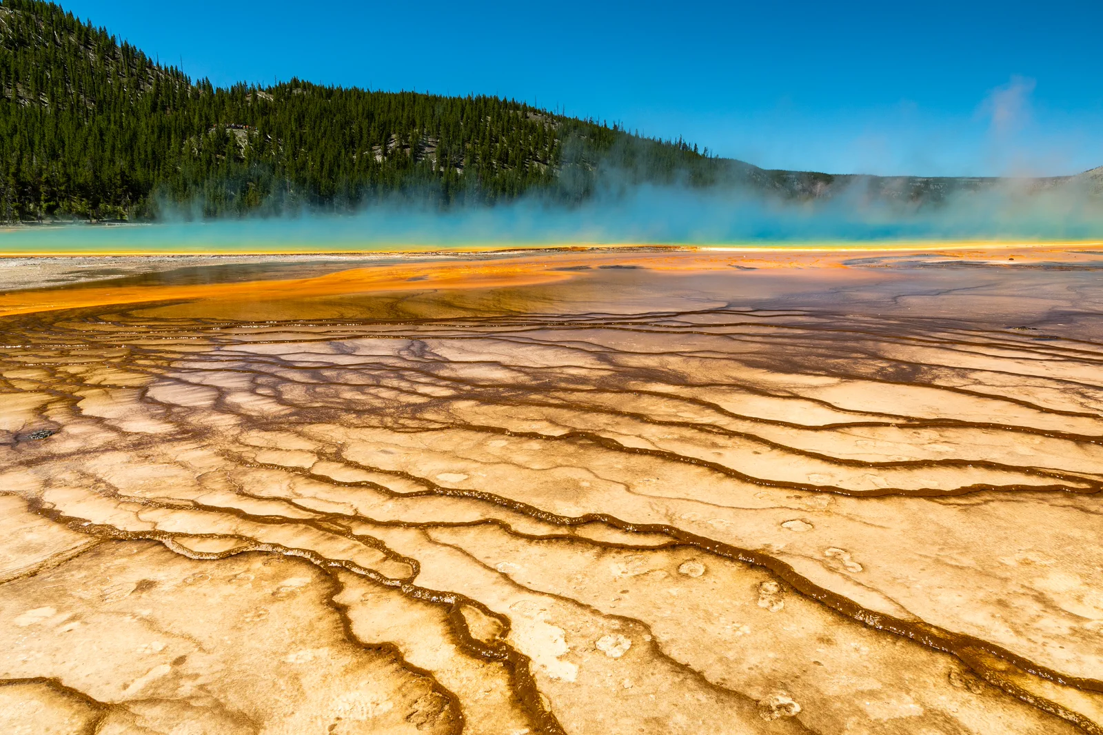 Yellowstone Geyser Basins