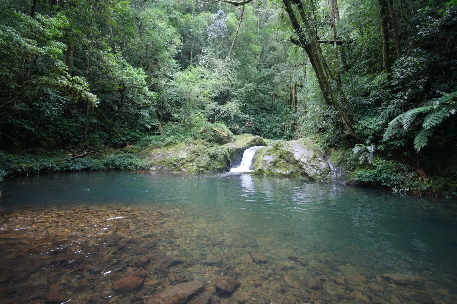 Hon Giao landscape in Bidoup Nui Ba National Park