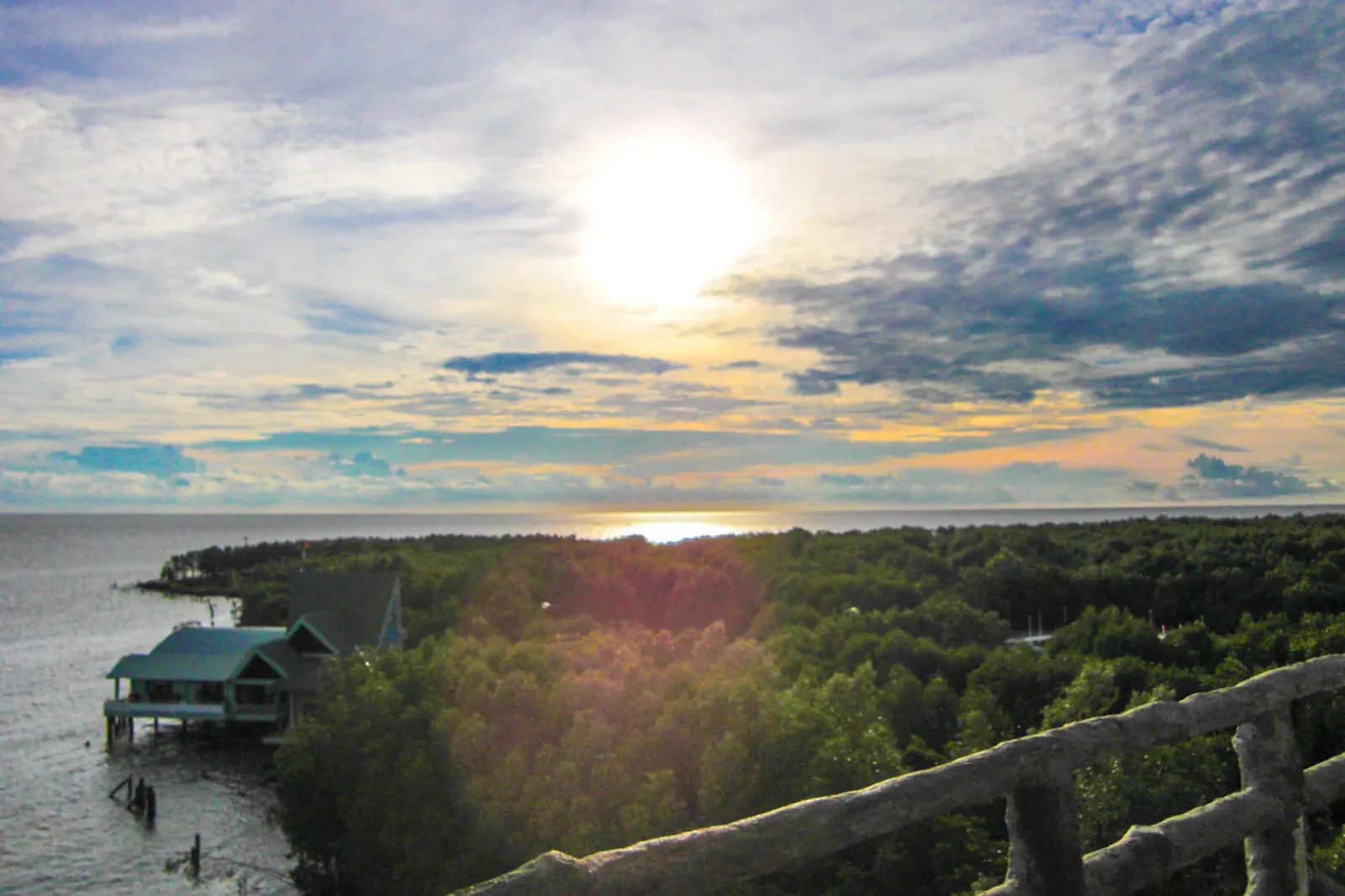 Sunset over mangrove forest and coast in Ca Mau