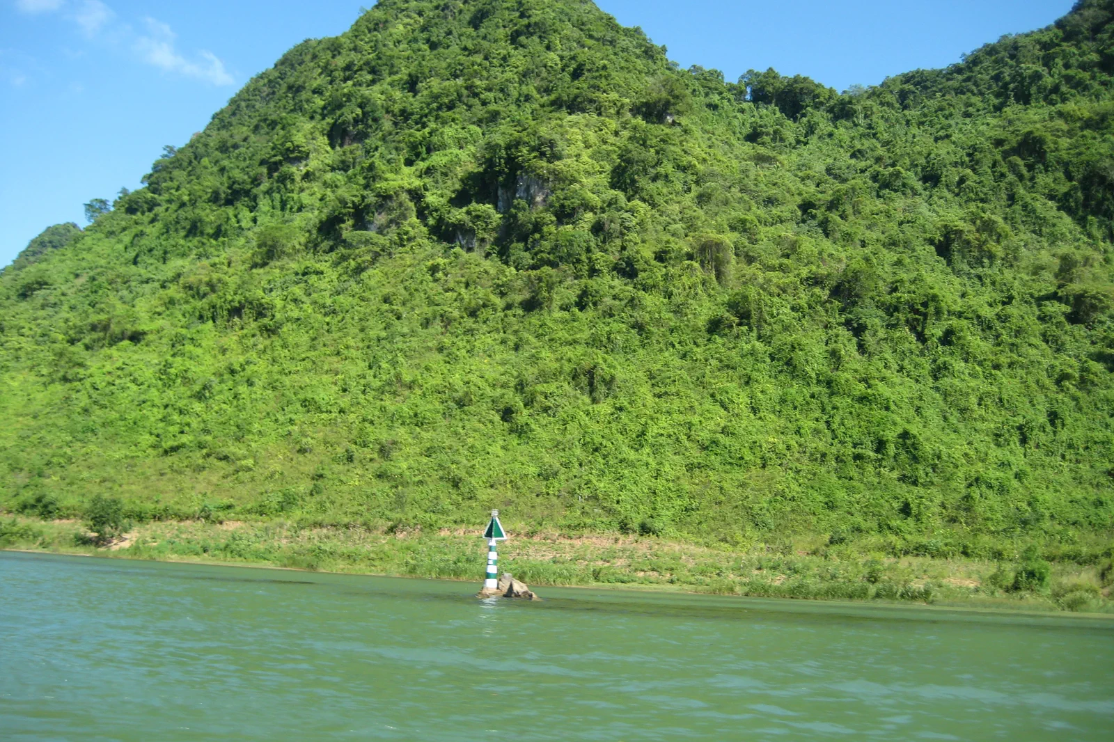 Lush forest and limestone landscape in Phong Nha-Ke Bang