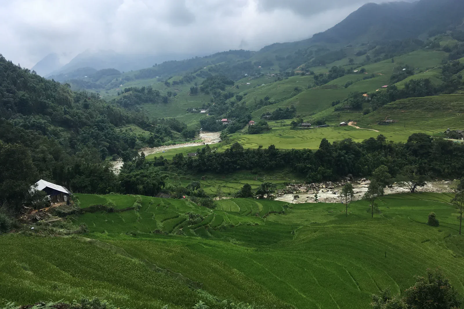 Terraced fields in Muong Hoa Valley near Lao Chai